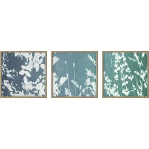 Still Floral II S/3 - Framed Art
