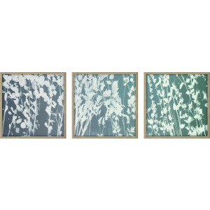 Still Floral III S/3 - Framed Art