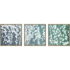 Still Floral III S/3 - Framed Art