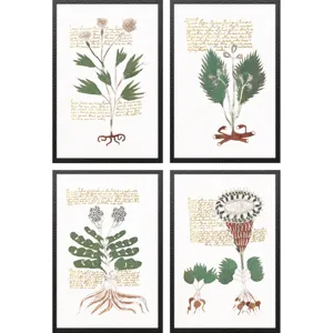 Magical Botany S/4 - Framed Art