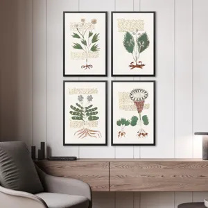 Magical Botany S/4 - Framed Art