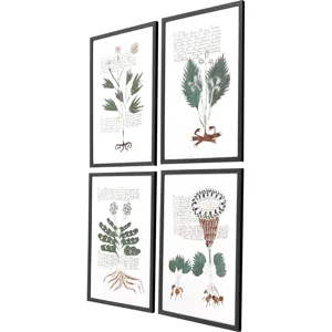 Magical Botany S/4 - Framed Art
