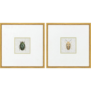 Beetles S/2 - Framed Art