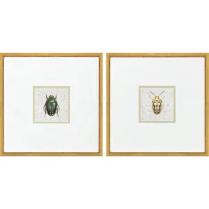 Beetles S/2 - Framed Art