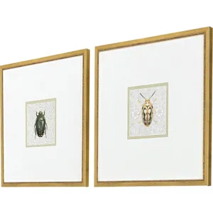 Beetles S/2 - Framed Art