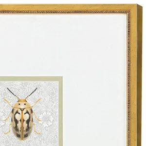 Beetles S/2 - Framed Art