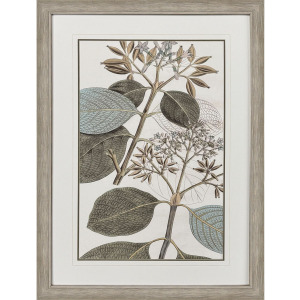 Flowering Botanical I - Framed Art