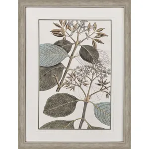 Flowering Botanical I - Framed Art