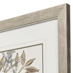 Flowering Botanical I - Framed Art