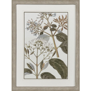 Flowering Botanical II - Framed Art
