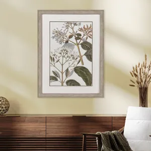 Flowering Botanical II - Framed Art