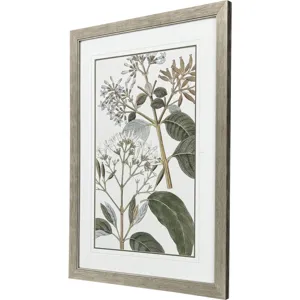 Flowering Botanical II - Framed Art