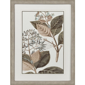 Flowering Botanical III - Framed Art