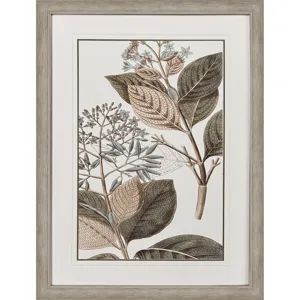 Flowering Botanical III - Framed Art