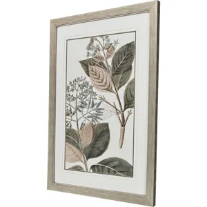 Flowering Botanical III - Framed Art