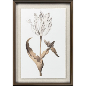 Gilded Tulip - Grace - Framed Art