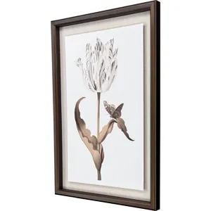 Gilded Tulip - Grace - Framed Art