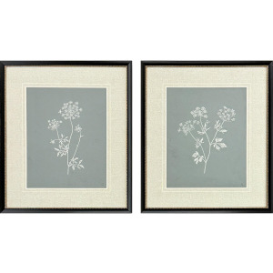 Nature's Gift I S/2 - Framed Art