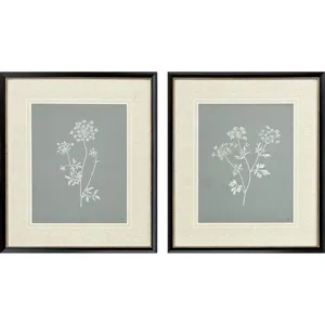 Nature's Gift I S/2 - Framed Art