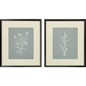 Nature's Gift II S/2 - Framed Art