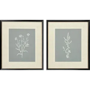 Nature's Gift II S/2 - Framed Art