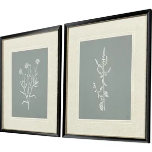 Nature's Gift II S/2 - Framed Art