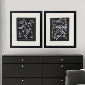 Mono Botanicals I S/2 - Framed Art
