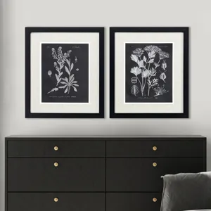 Mono Botanicasl II S/2 - Framed Art
