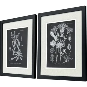 Mono Botanicasl II S/2 - Framed Art