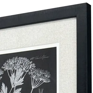 Mono Botanicasl II S/2 - Framed Art