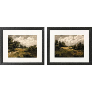 Inspired Landscape I S/2 - Framed Art