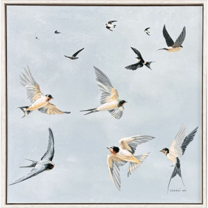 Swifts - Framed Art