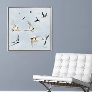 Swifts - Framed Art