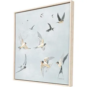 Swifts - Framed Art
