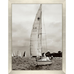 Regatta - Framed Art