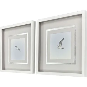 Modern Flight II S/2 - Framed Art