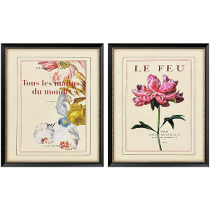 Le Fleur I S/2 Framed Art