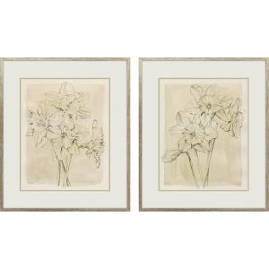 Spring Promises S/2 Framed Art