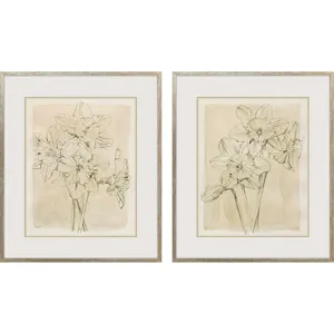 Spring Promises S/2 Framed Art
