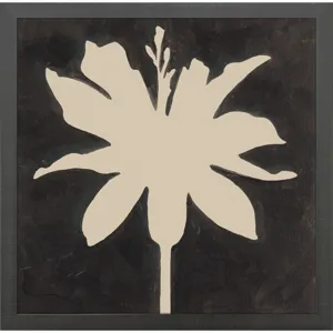 Floral Silhouettes I Framed Art