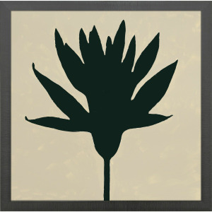 Floral Silhouettes II Framed Art
