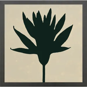 Floral Silhouettes II Framed Art
