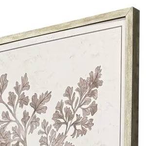 Fern Study S/4 Framed Art