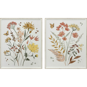 Full Bloom II S/2 Framed Art