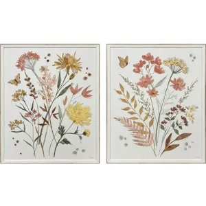 Full Bloom II S/2 Framed Art