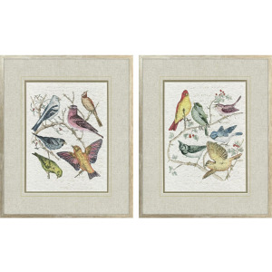 Bird Variety S/2 Framed Art