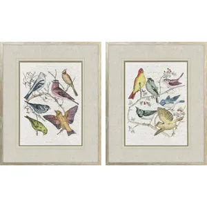 Bird Variety S/2 Framed Art