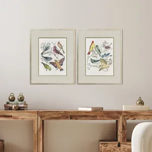 Bird Variety S/2 Framed Art