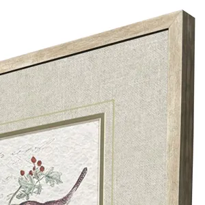 Bird Variety S/2 Framed Art