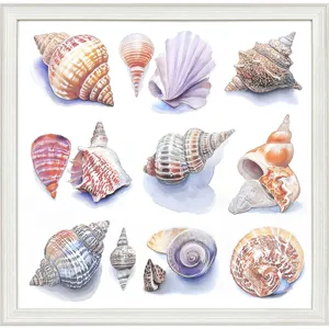Shell Factory I Framed Art